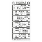 Cartelle TOMBOLA CLASSICA 6 tabelle formato 15x32 cm